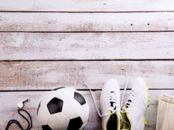 sports enthusiast gift guide