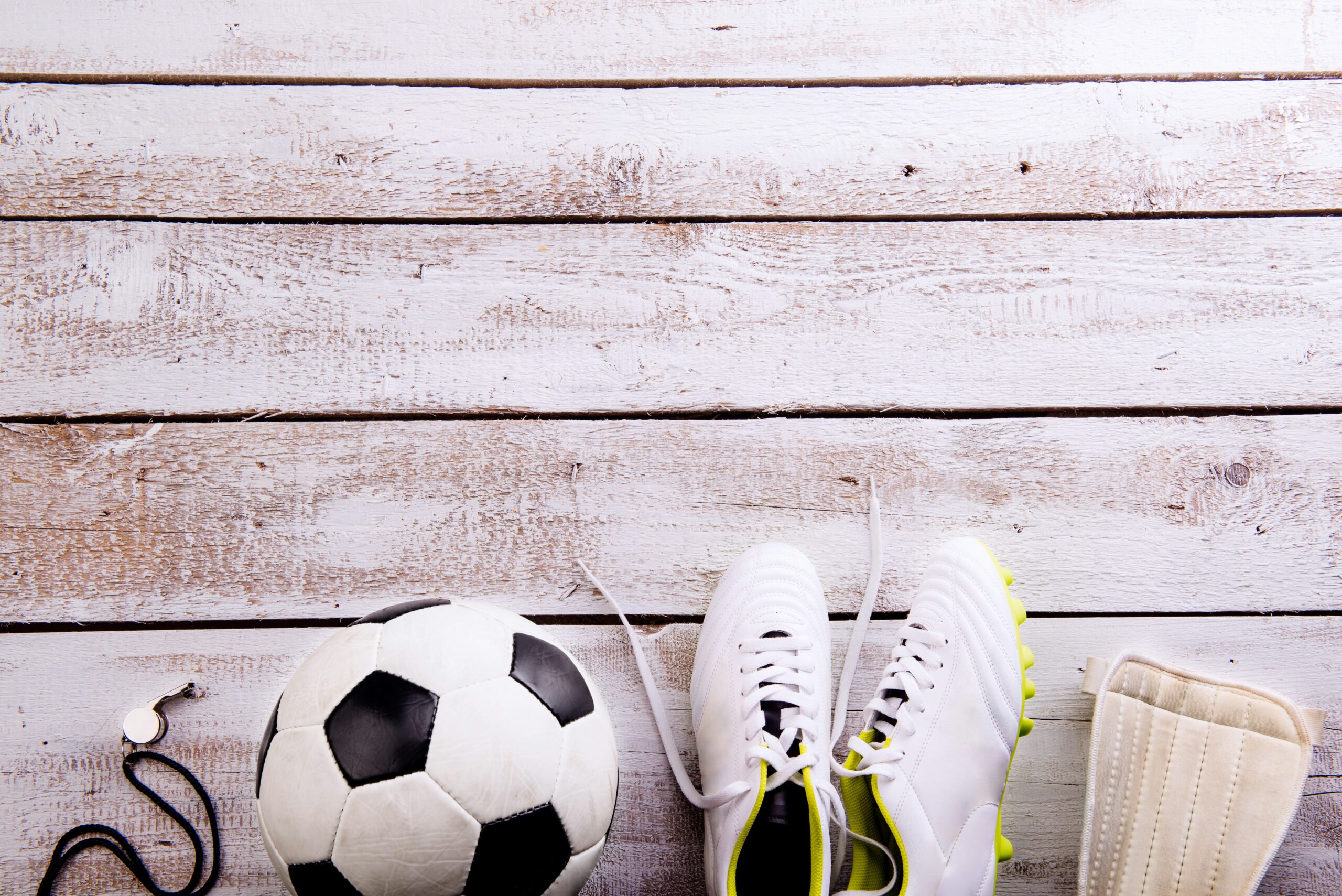 sports enthusiast gift guide