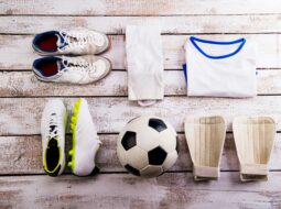 Sports Enthusiast